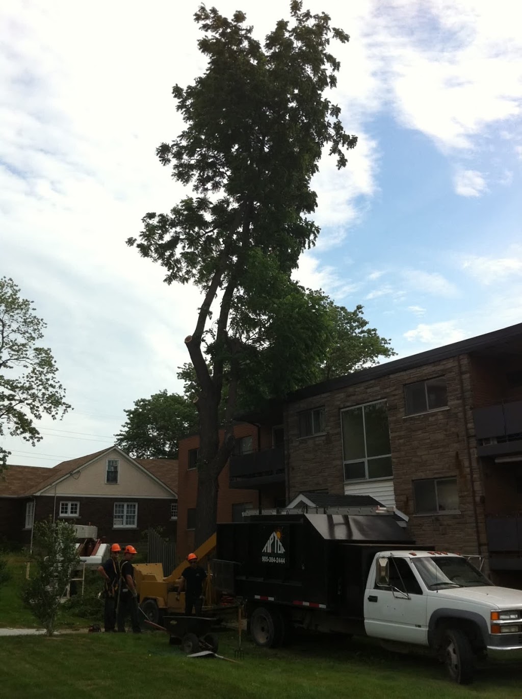 Tip Top Tree Svc Ltd | 40 College Park Dr, Welland, ON L3C 6Z7, Canada | Phone: (905) 384-2444