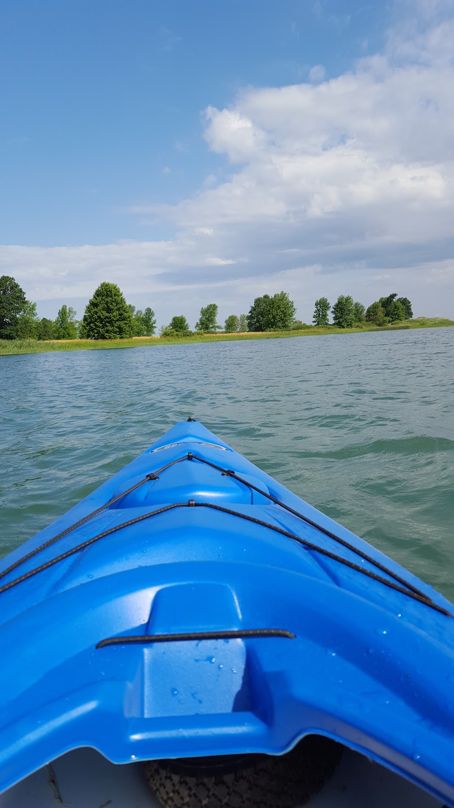 Îles de la Paix National Wildlife Area | Maple Grove, Léry, QC, Canada