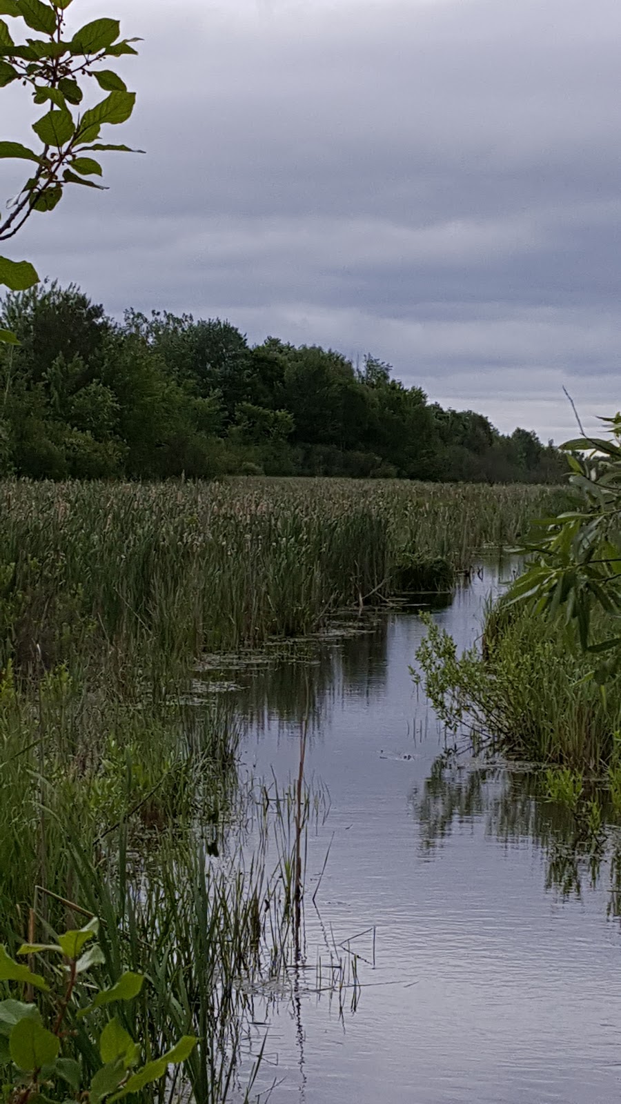 Dewberry Trail | Dolman Ridge Rd, Orléans, ON K1C 7G4, Canada