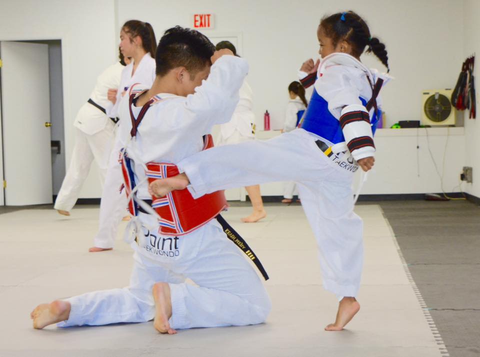 4Point Taekwondo | 1069 Knottwood Rd E Northwest, Edmonton, AB T6K 3N5, Canada | Phone: (780) 850-6685