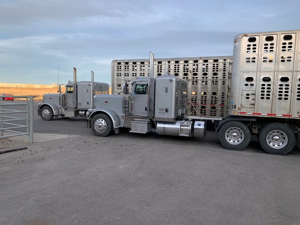 Riverside Colony Feedlot | CHM7+69, Glenwood, AB T0L 0Z0, Canada | Phone: (403) 892-0562