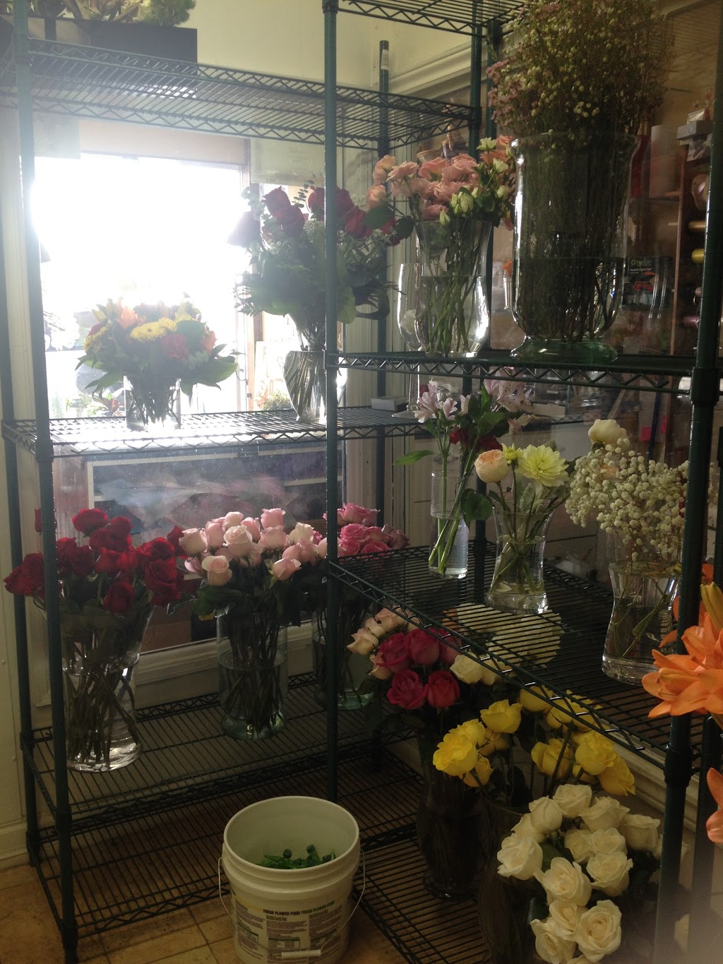 Eternity Floral Design | 858 Wilson Ave, North York, ON M3K 1E5, Canada | Phone: (647) 260-0588