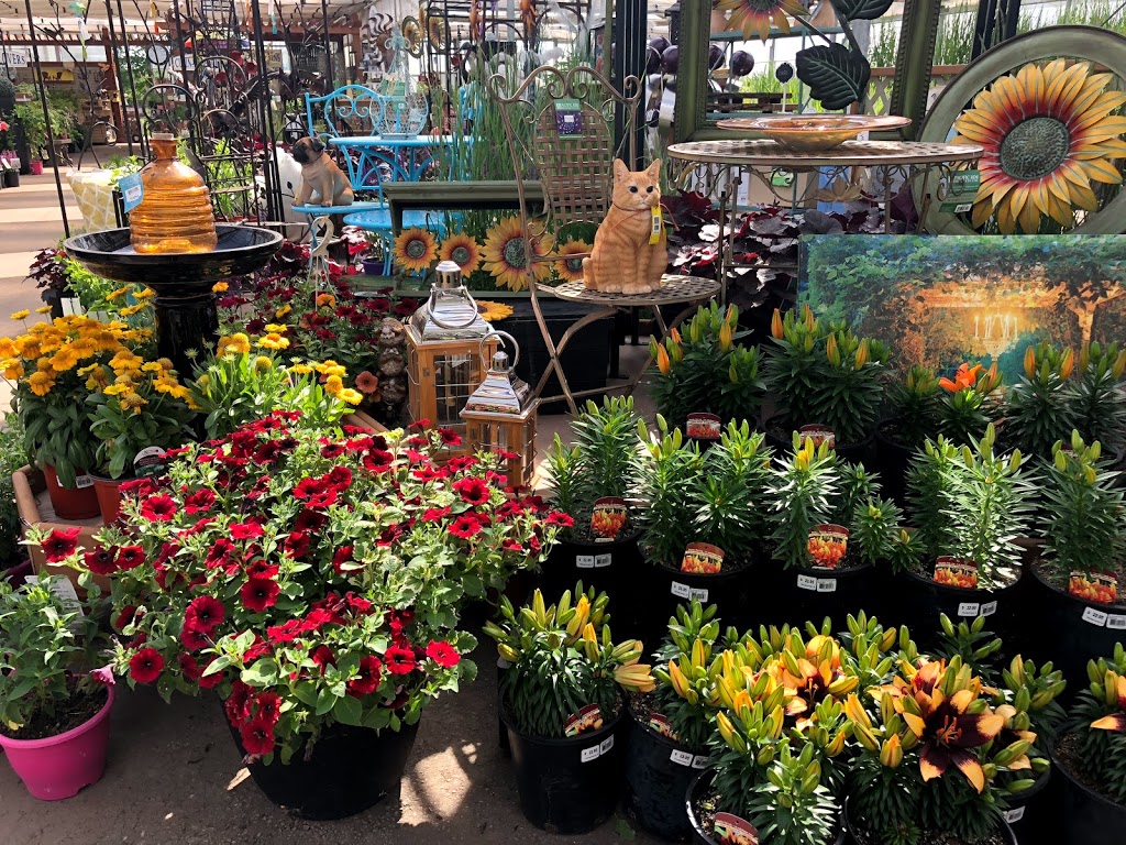 Millcreek Nursery Ltd | 3103 17 St NW, Edmonton, AB T6T 1H9, Canada | Phone: (780) 469-8733