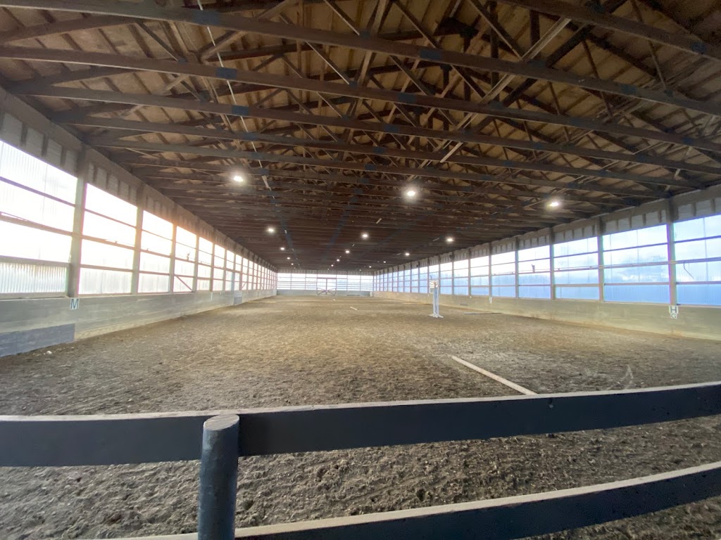 Harmony Equestrian | 6120 Hunt Rd, Victoria, BC V8X 5E1, Canada | Phone: (250) 818-1140