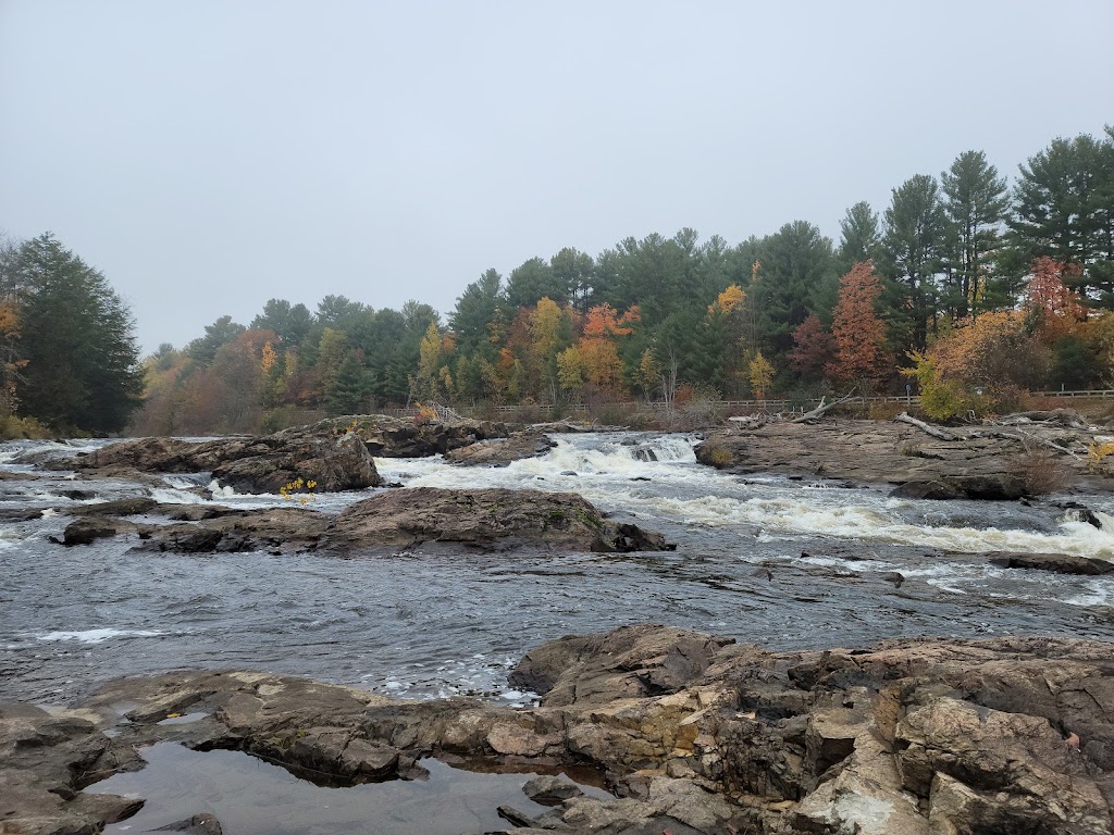 Ile de la grande patate à Blanchard | 282 Rue des Eaux-Vives, Saint-Jérôme, QC J7Y 4N9, Canada | Phone: (450) 626-8775