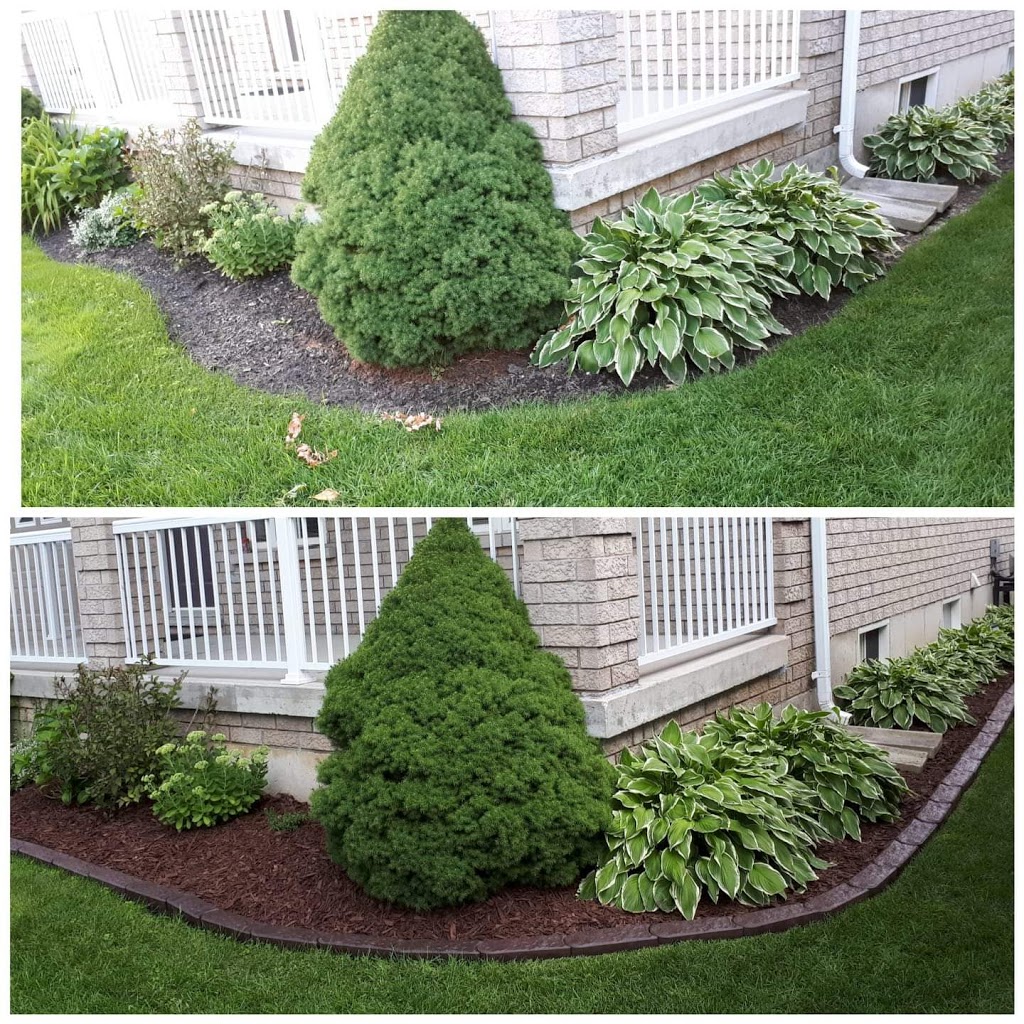 Green Esthetics Landscaping | Hume St #268, Collingwood, ON L9Y 1W1, Canada | Phone: (705) 446-4649