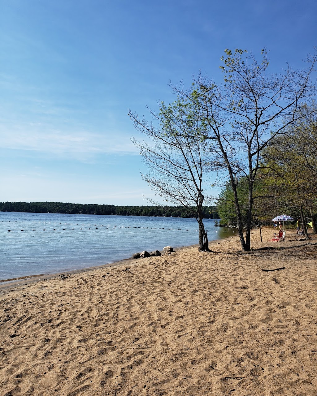 Killbear Provincial Park | 35 Eddie Ramsay Parkway, Nobel, ON P0G 1G0, Canada | Phone: (705) 342-5492