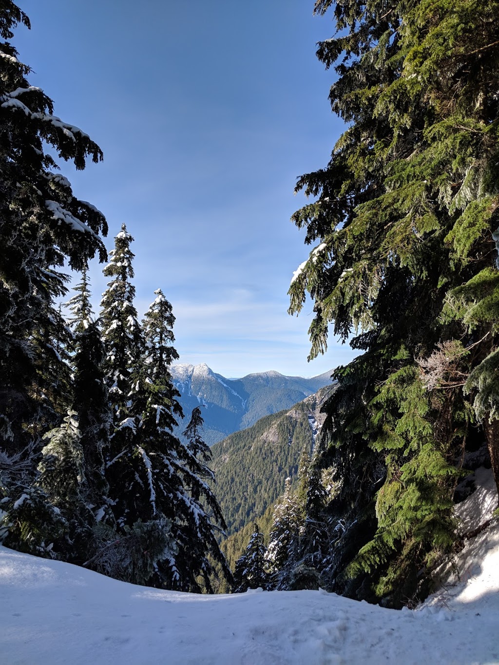 Ridge Trail | Ridge Trail, North Vancouver, BC V7K 1X8, Canada