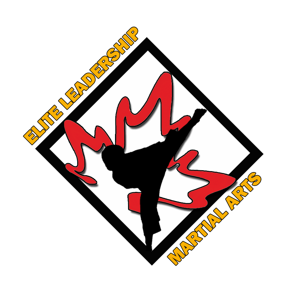 Elite Leadership Martial Arts | 120 San Antonio Dr Unit #7, Hamilton, ON L9C 5N2, Canada | Phone: (905) 218-6958