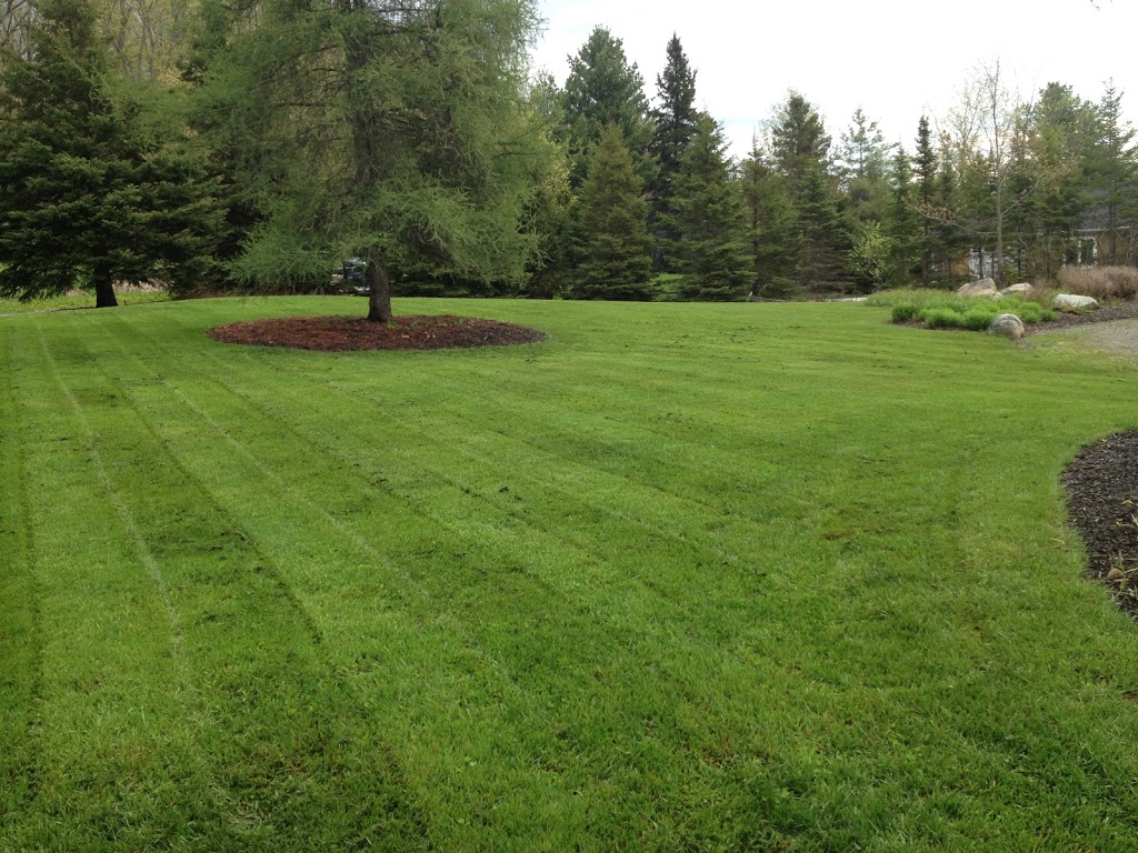 Earth Elements - Landscape Irrigation & Lighting | 1131 Millar Hill Rd, Huntsville, ON P1H 2J6, Canada | Phone: (705) 380-4867