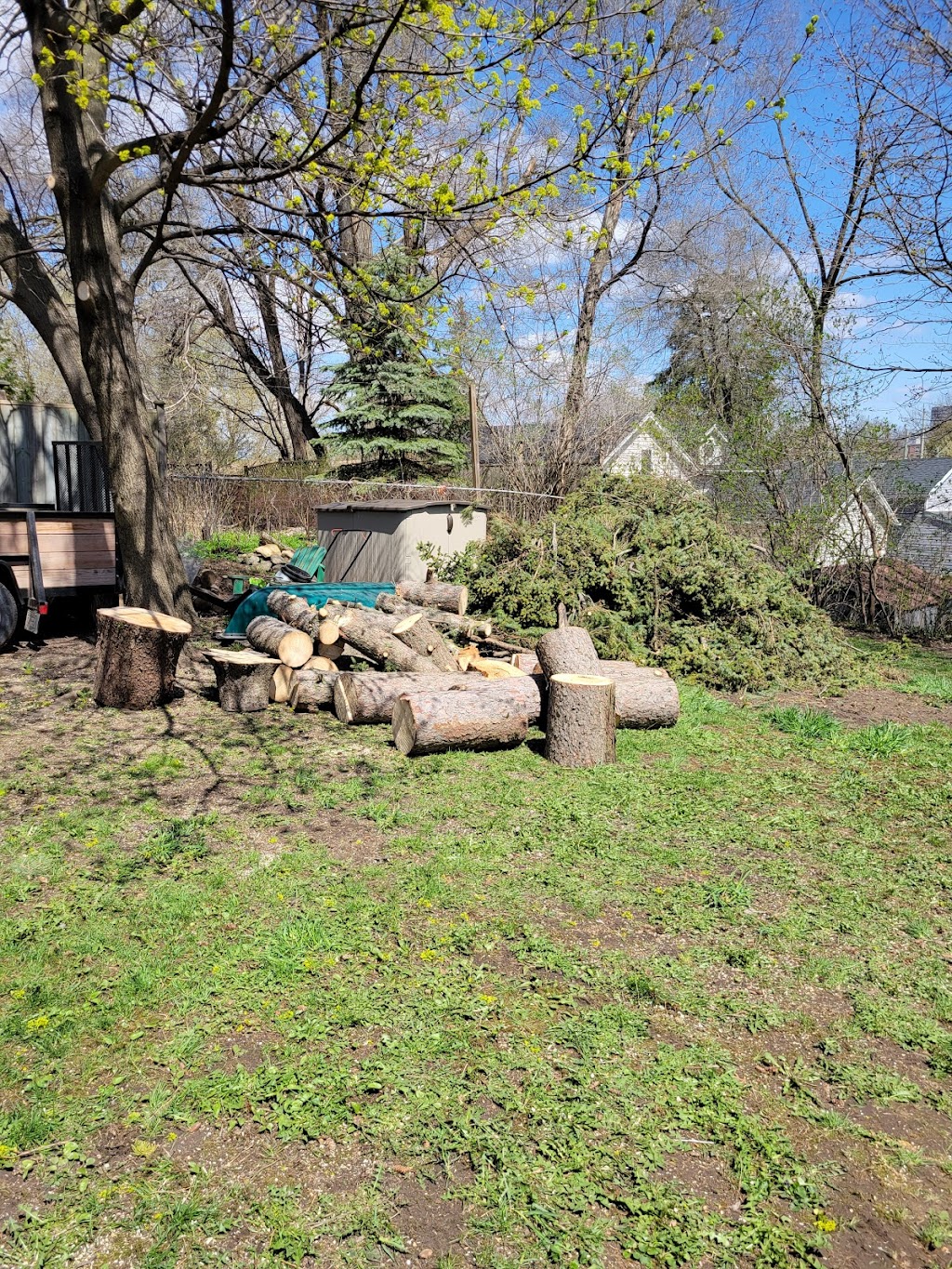 Island Breeze Tree Service | 375 Tecumseh Rd, Wallaceburg, ON N8A 4K9, Canada | Phone: (519) 627-3456