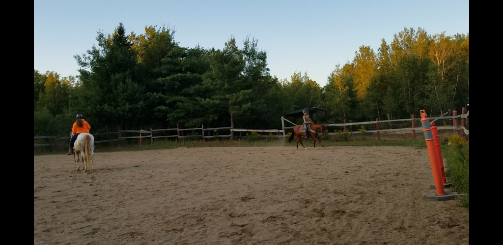 Saddle Tramp Stables | 512 Lockstead Road, Lockstead, NB E9B 1L8, Canada | Phone: (506) 627-6811