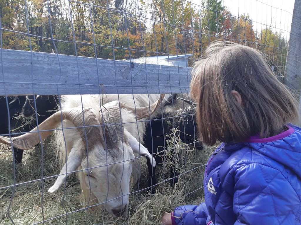 La ferme Pélipa | 1120 Rue Saint-Aimé, Saint-Lambert-de-Lauzon, QC G0S 2W0, Canada | Phone: (581) 888-1452