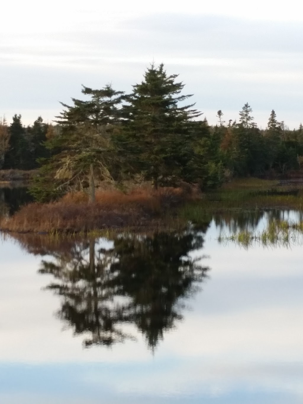 Abbecombec Marshes | Clam Bay, NS B0J 1Y0, Canada