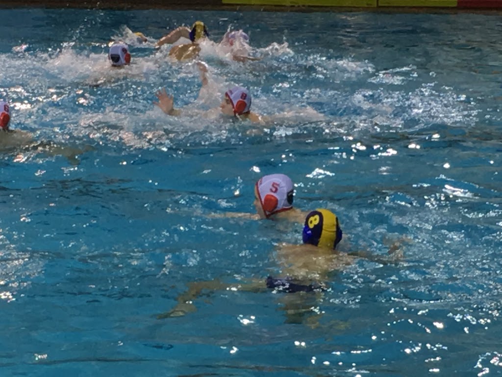 Mavericks Water Polo & Swim Club | 590 Rathburn Rd, Etobicoke, ON M9C 3T3, Canada | Phone: (416) 505-4355