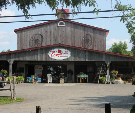 The Campbells Orchard & Country Market | 1633 County Rd 3, Carrying Place, ON K0K 1L0, Canada | Phone: (613) 962-3751