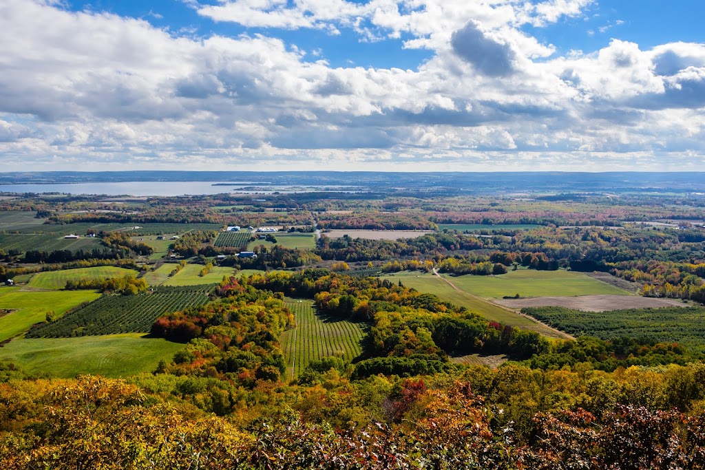 Engel & Völkers in Nova Scotia | 311 Main St, Wolfville, NS B4P 1C7, Canada | Phone: (902) 542-5203