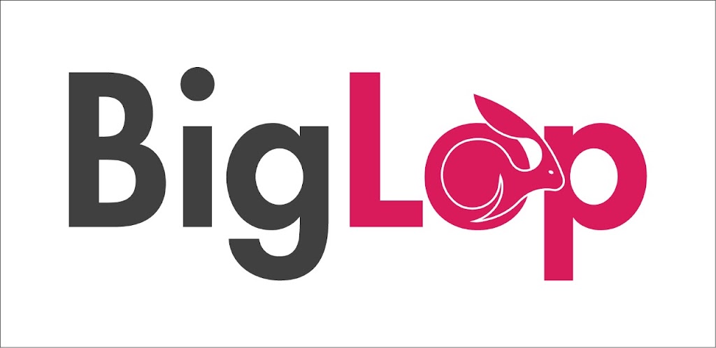 BigLop | 2100 Camilla Road Unit 712, Buzz Code, 2100 Camilla Rd #86, Mississauga, ON L5A 2J8, Canada | Phone: (647) 333-6733