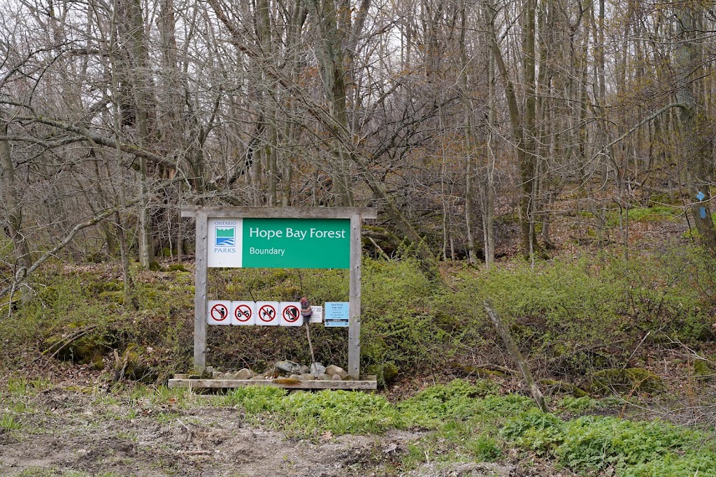 Hope Bay Forest Provincial Park | Lions Head, ON N0H 1W0, Canada | Phone: (519) 389-9056