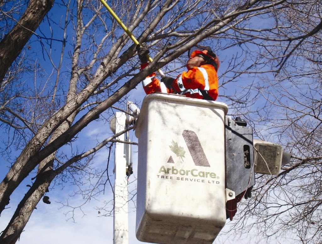 ArborCare | 10100 114 Ave SE, Calgary, AB T3S 0A5, Canada | Phone: (403) 273-6378