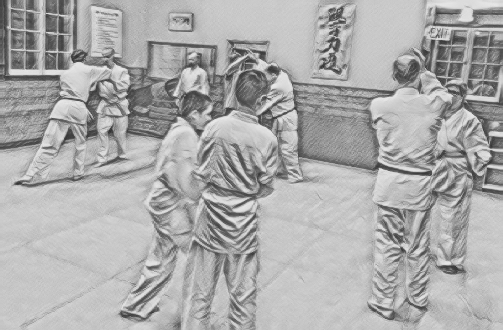 Aikido Durham | 311 Brock St N, Whitby, ON L1N 4H8, Canada | Phone: (289) 638-6161
