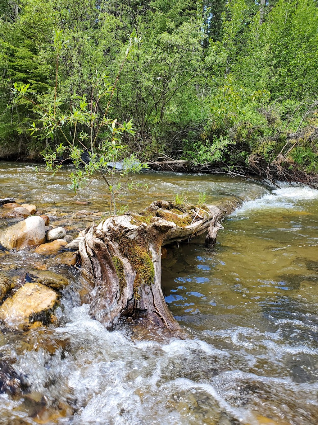 Prairie Creek Provincial Recreation Area | Clearwater County, AB T0M 2H0, Canada | Phone: (403) 845-8349