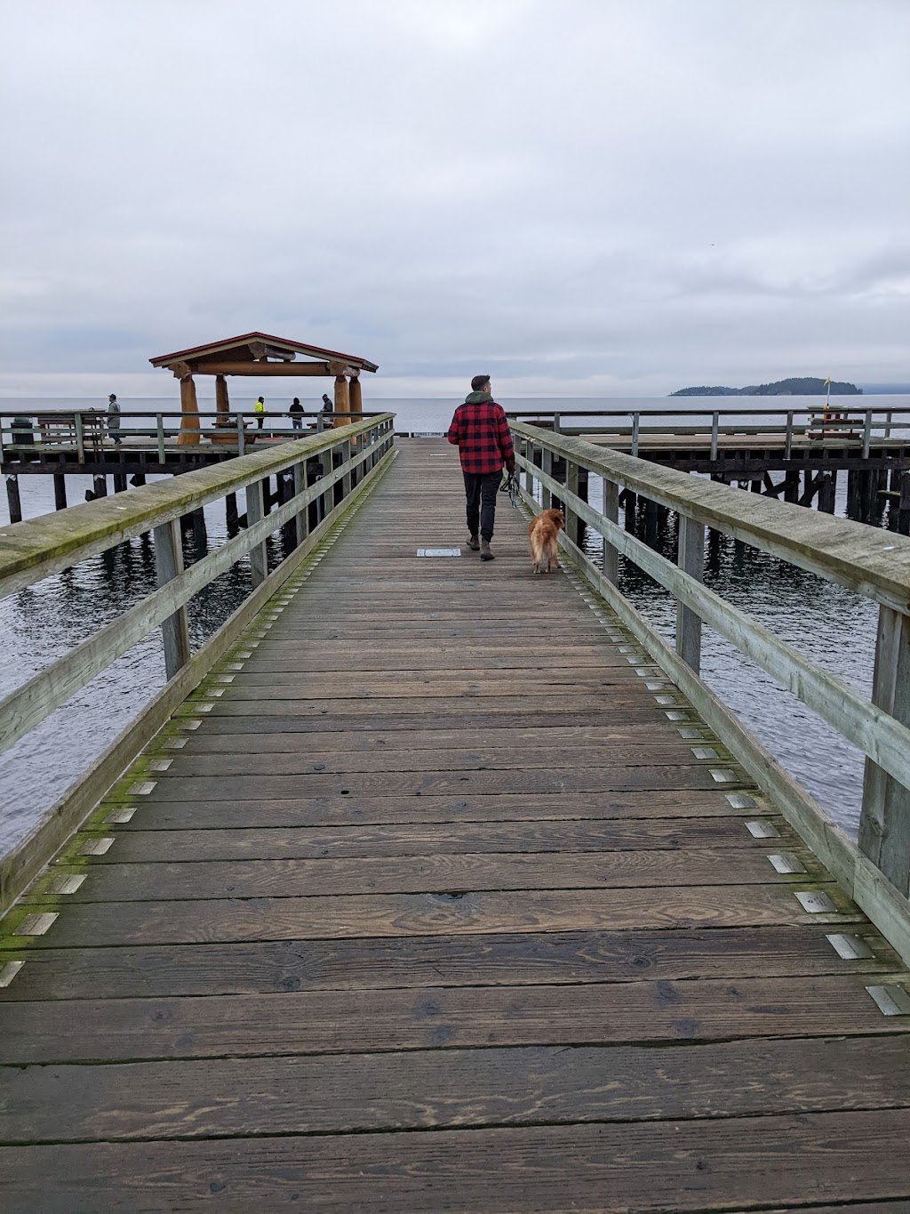 Davis Bay Park Public Dock | 4757 Sunshine Coast Hwy, Sechelt, BC V0N 3A2, Canada | Phone: (604) 885-1986