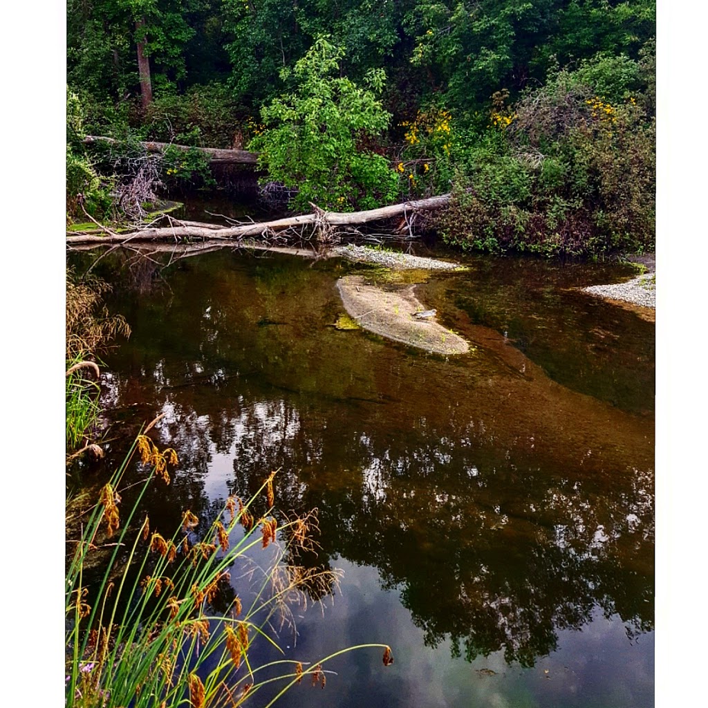 Grunthal Park | Hanover, MB R0A 0R0, Canada