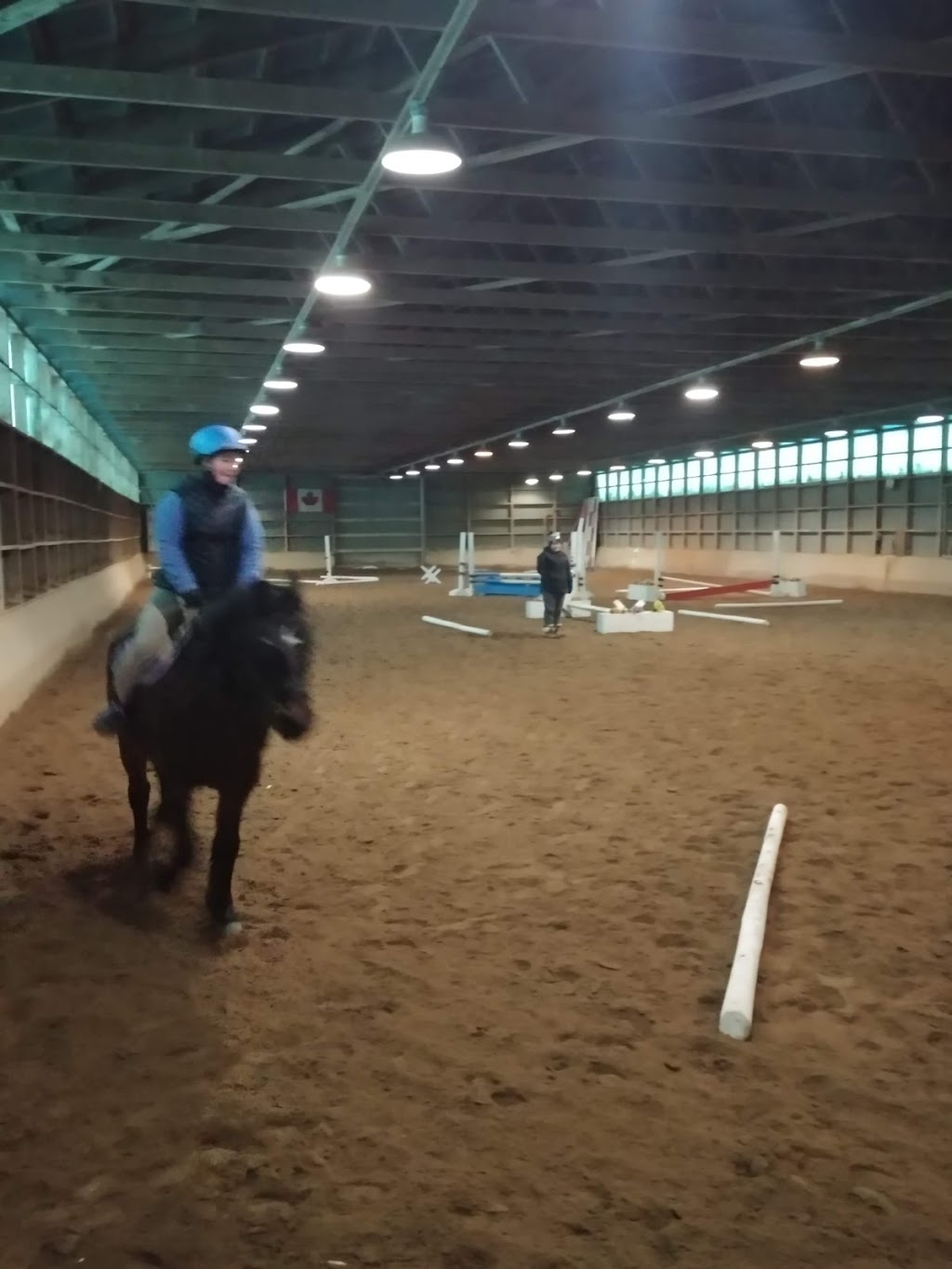 Maple Lane Stables | 517 Gore Rd, Kingston, ON K7L 5H6, Canada | Phone: (613) 549-8406