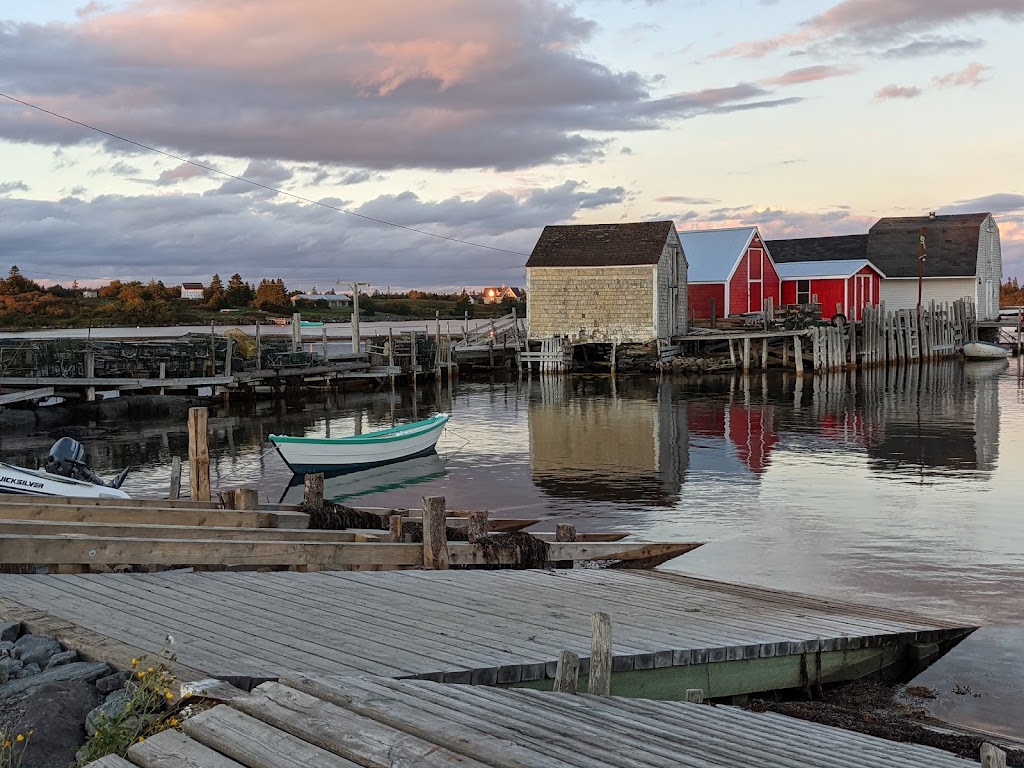 Seaweed Tours Lunenburg N.S. | 60 Bluenose Dr, Lunenburg, NS B0J 2C0, Canada | Phone: (902) 529-1052