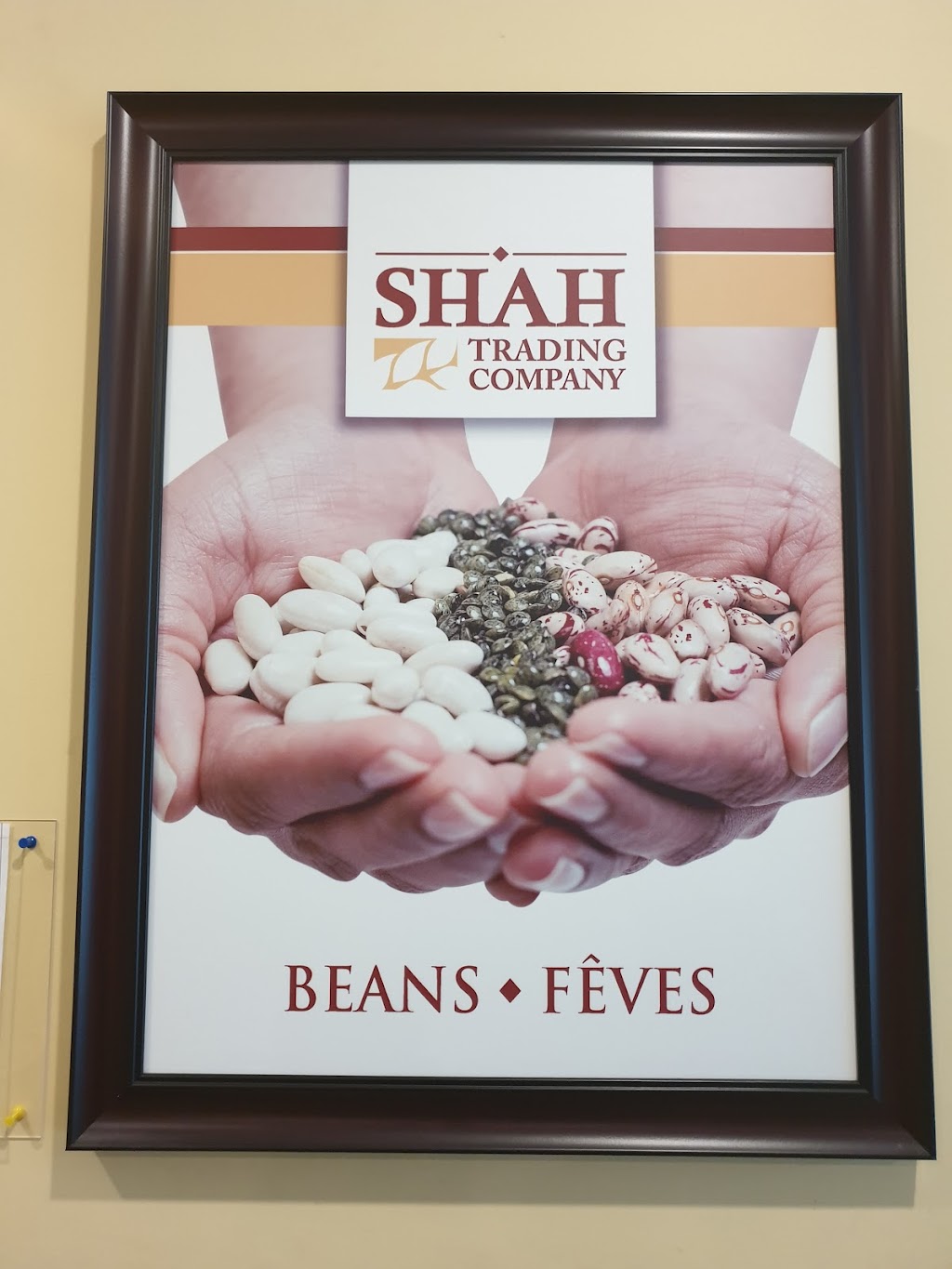 Shah Trading Company Ltd | 3401 Rue Douglas B Floreani, Saint-Laurent, QC H4S 1Y6, Canada | Phone: (514) 336-2462