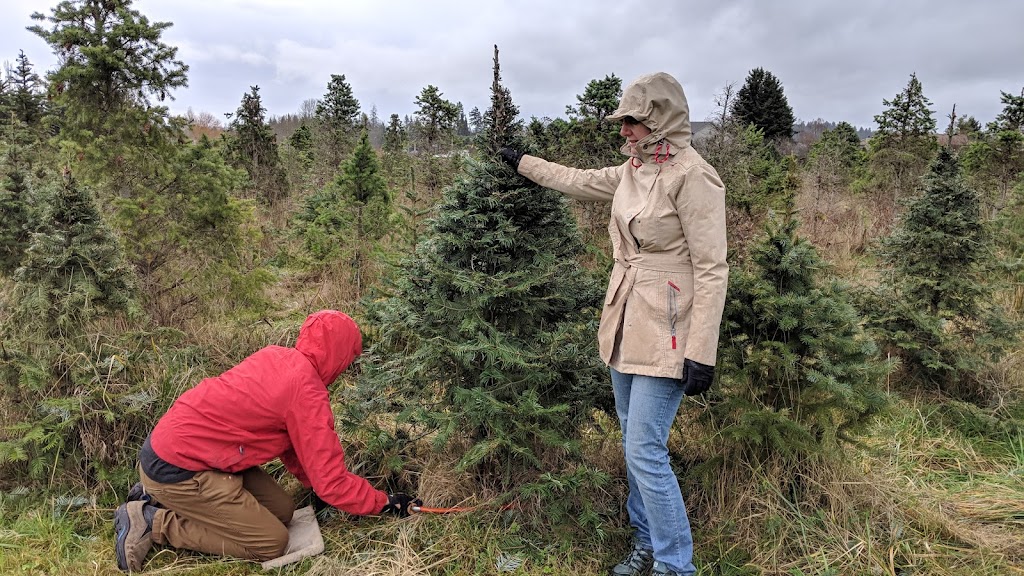 Jingle Bell Tree Farm | 7969 Wallace Dr, Saanichton, BC V8M 1L4, Canada | Phone: (250) 652-2771