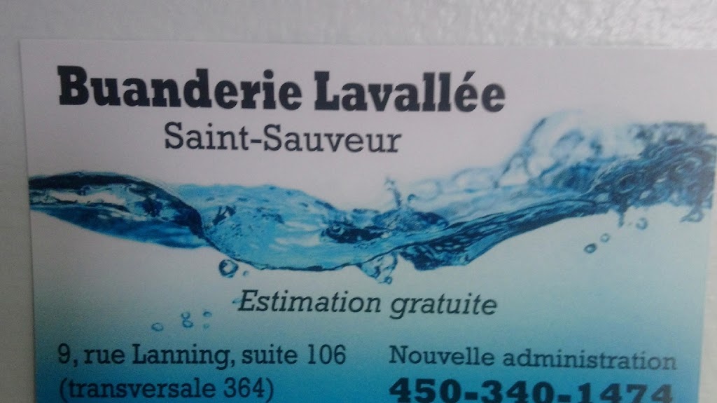 Buanderie lavallée | 9 Av. Lanning, Saint-Sauveur, QC J0R 1R6, Canada | Phone: (450) 340-1474