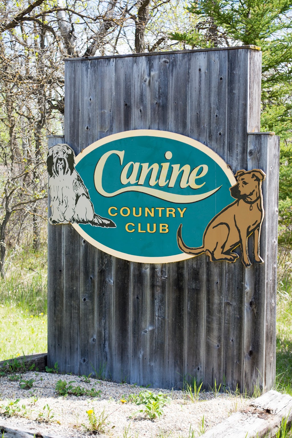 Canine Country Club | 59133 Pleasant Rd 38E, Anola, MB R0E 0A0, Canada | Phone: (204) 866-7387