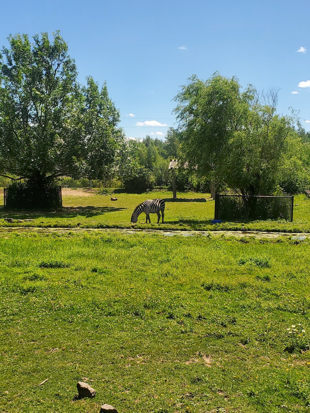 Moncton Zoo Playground & benches | Moncton, NB E1G 4V7, Canada | Phone: (506) 877-7720