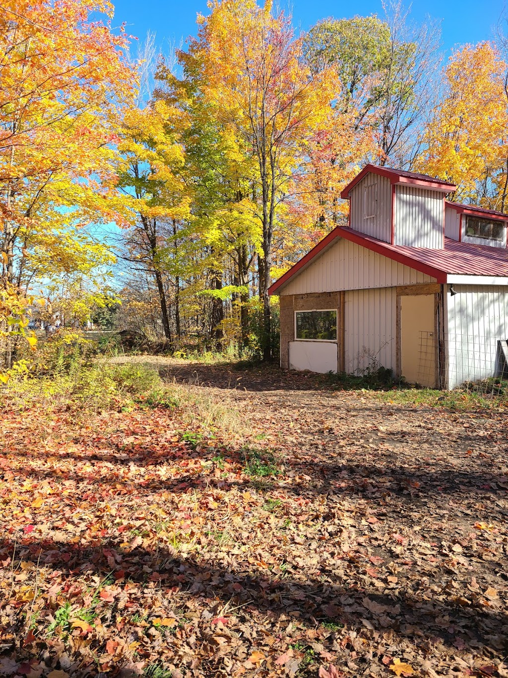 Labyrinthe Galaxie | 30 Mnt des Quarante-Deux, Sainte-Julie, QC J3E 1Y1, Canada | Phone: (450) 649-1777