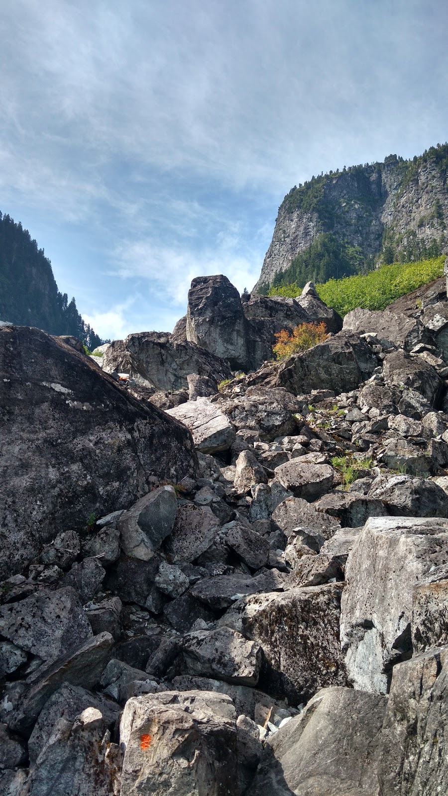 Hanes Valley Boulder Field | Greater Vancouver A, BC V7K 1X8, Canada