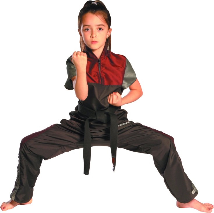 Woods Premier Martial Arts | 1175 Wilson St E, Hamilton, ON L8S 4K6, Canada | Phone: (905) 777-9663