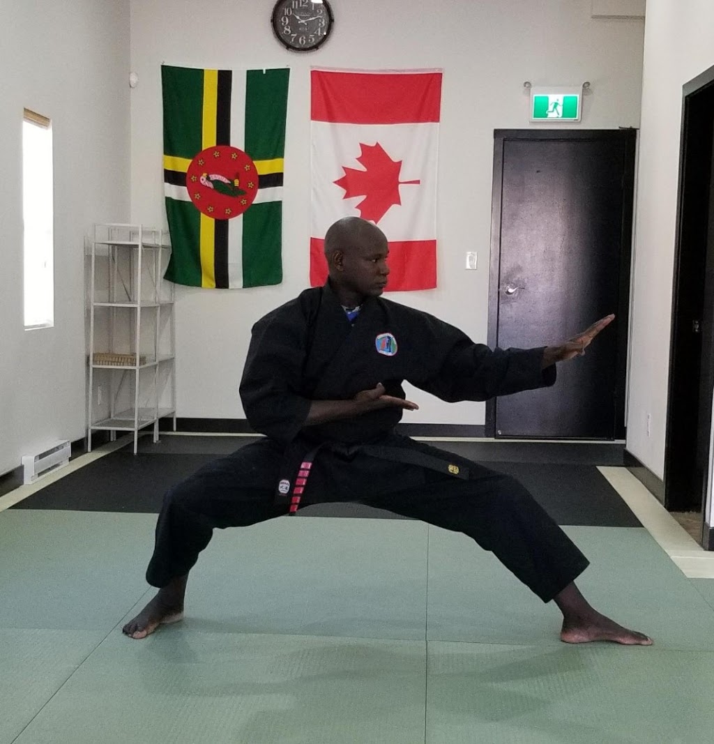 Robin Ryu Jiu Jitsu | 7709 6th St, Burnaby, BC V3N 3M9, Canada | Phone: (236) 982-7798