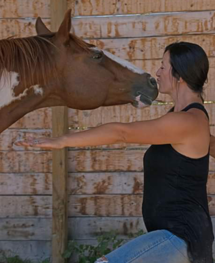 Horse Wisdom Yoga | 2601 Concession 5 Rd, Loretto, ON L0G 1L0, Canada | Phone: (905) 729-3956