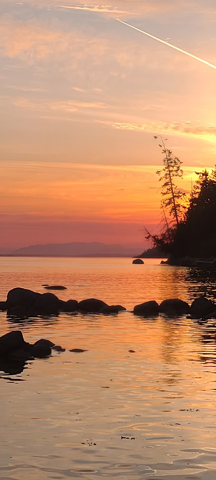 Oyster Beach House | 3909 BC-101, Powell River, BC V8A 0C6, Canada | Phone: (604) 849-5777