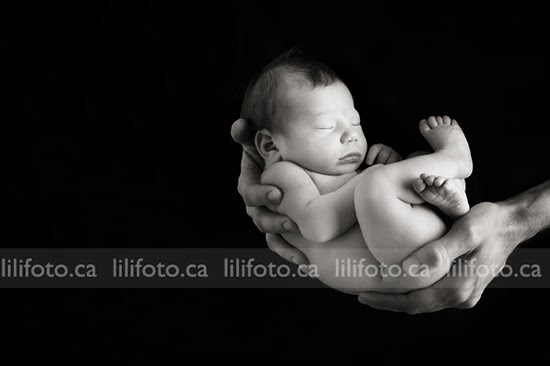 Lilifoto | 1171 Fieldown St, Cumberland, ON K4C 1R7, Canada | Phone: (613) 833-0610