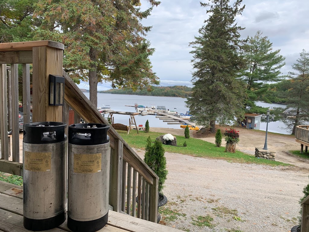 Lucs Brew Organic Kombucha | 2049 Little Hawk Lake Rd, Algonquin Highlands, ON K0M 1J2, Canada | Phone: (705) 854-2158