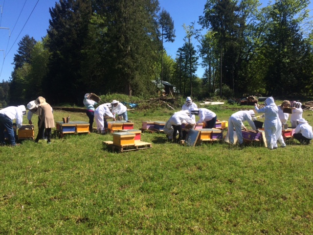 Urban Bee Honey Farm | 6440 W Saanich Rd, Saanichton, BC V8M 1W8, Canada | Phone: (250) 580-0263