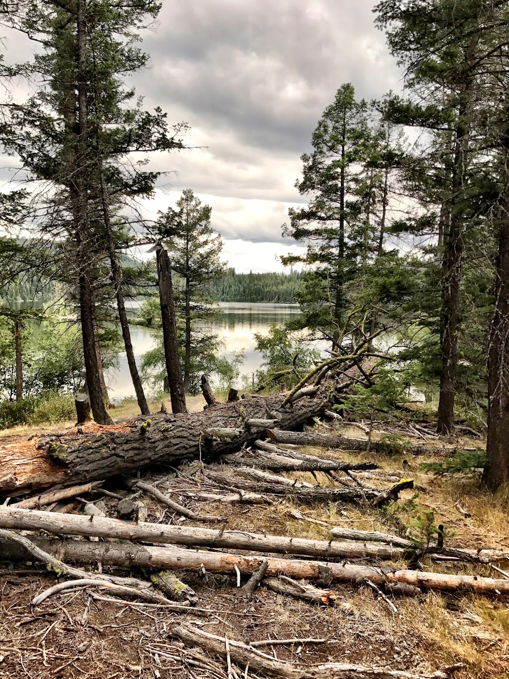 McConnell Lake Provincial Park | Logan Lake, BC V0K 1W0, Canada | Phone: (250) 377-8888