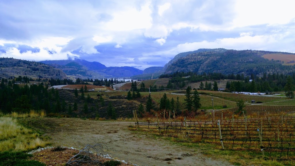 Liquidity Wines | 4720 Allendale Rd, Okanagan Falls, BC V0H 1R2, Canada | Phone: (778) 515-5500