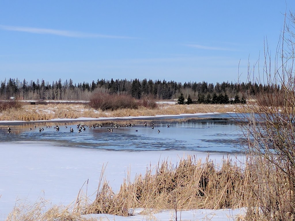 Lois Hole Centennial Provincial Park | 250 Diamond Ave, Spruce Grove, AB T7X 3B4, Canada | Phone: (780) 960-8170