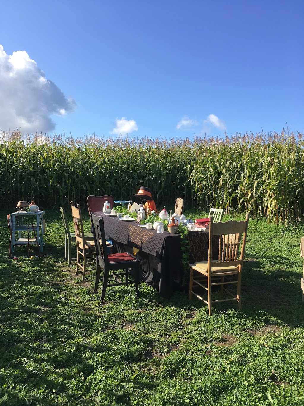 Saanichton Corn Maze | 7979 Central Saanich Rd, Saanichton, BC V8M 1T7, Canada | Phone: (778) 628-0788