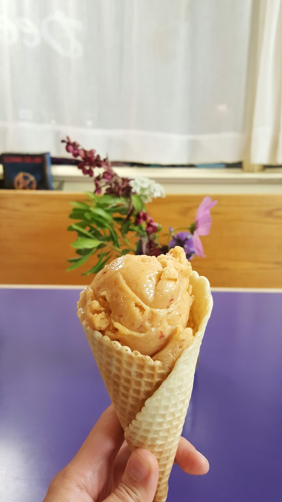 Dee Dees Ice Cream | 110 Peggys Point Rd, Peggys Cove, NS B3Z 3S2, Canada