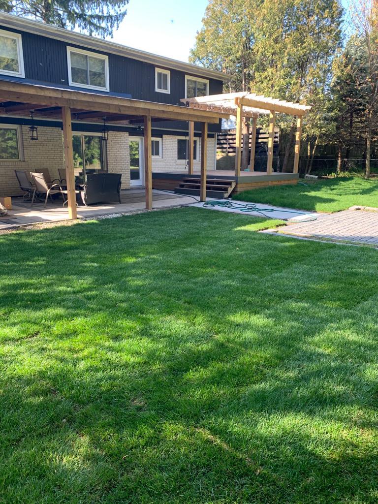 Mr.Sod - The Sod Installation Specialist | 234 Pinetree Way, Mississauga, ON L5G 2R2, Canada | Phone: (416) 704-6007